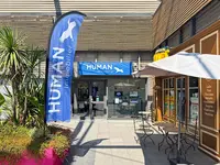 Human Immobilier Marseille 11